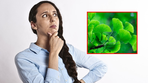 ginkgo biloba