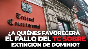 Tribunal Constitucional