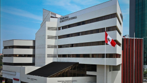 Tribunal Constitucional